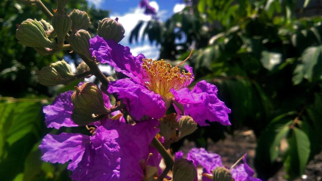 リボ払いの返済ができない時の対処法は？