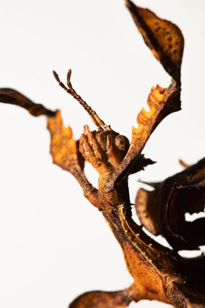 クレカのブラックリスト解除方法はどのようにすればいいの？