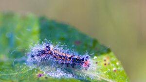 任意整理を2回目にできる条件とは？