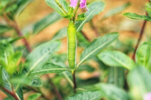 任意整理を2回目に行うことはできるのか？