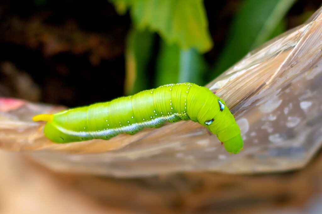 任意整理を考える際の二回目の相談で知っておくべきことは？