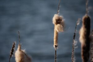 債務整理で利息カットはどのように実現できるのか？