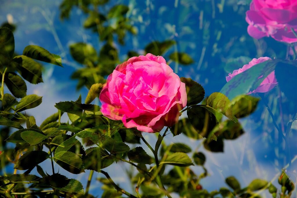 メンタルケアと多重債務の不安を解消する対処法は？