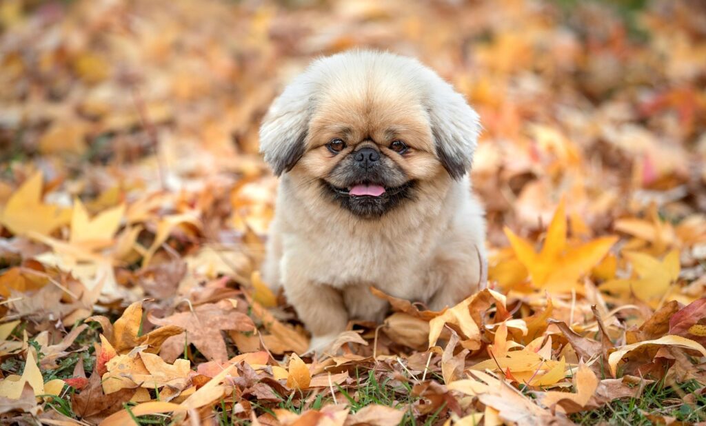 任意整理のデメリットとは何か知っておくべきことは？