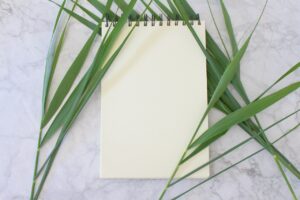 債務整理後の家計簿アプリを使った管理コツは？