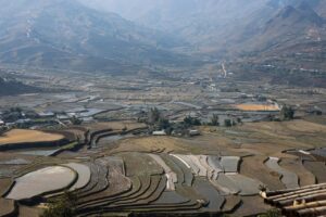 法テラスで自己破産を無料で相談する方法は？