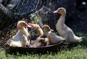 任意整理の費用相場を分割払いで賢く抑える方法は？