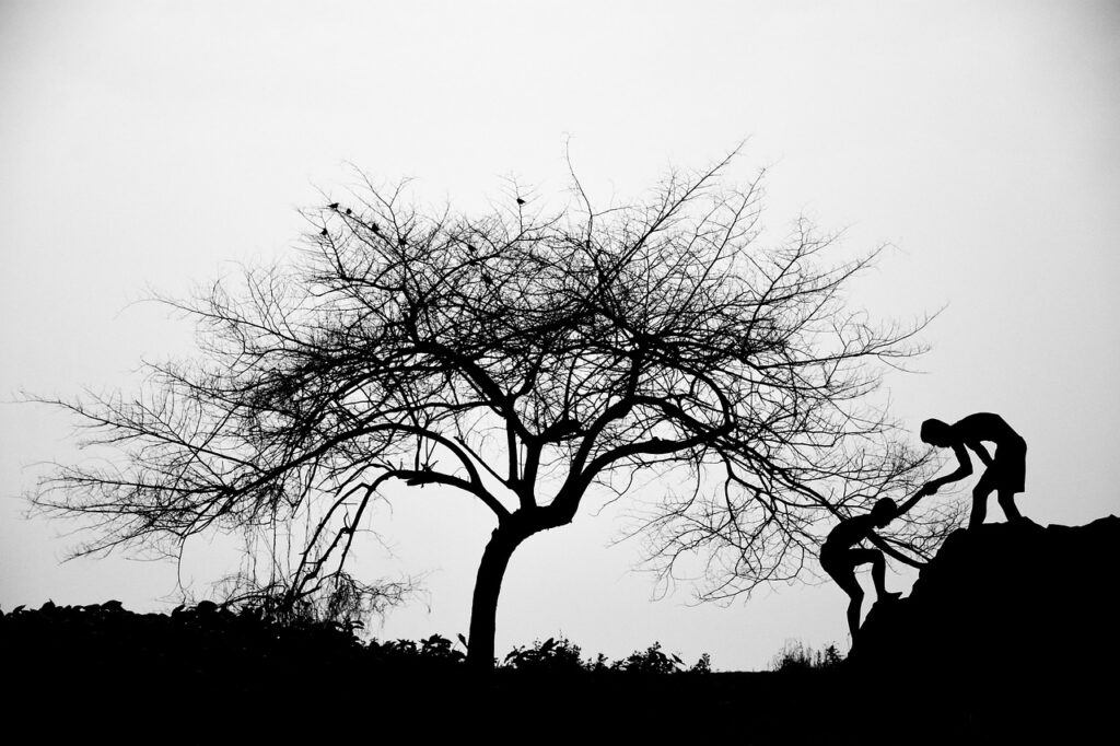 個人再生の成功事例として差押え直前の体験談はどのようなものがある？